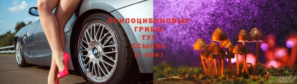 мяу мяу кристалл Алексин