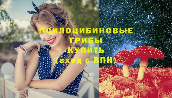 стаф Алексеевка
