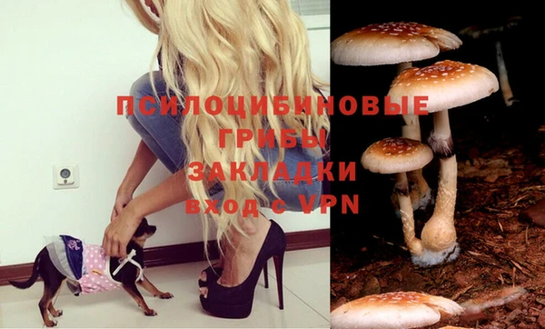 стаф Алексеевка