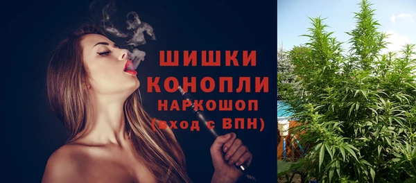не бодяженный Надым