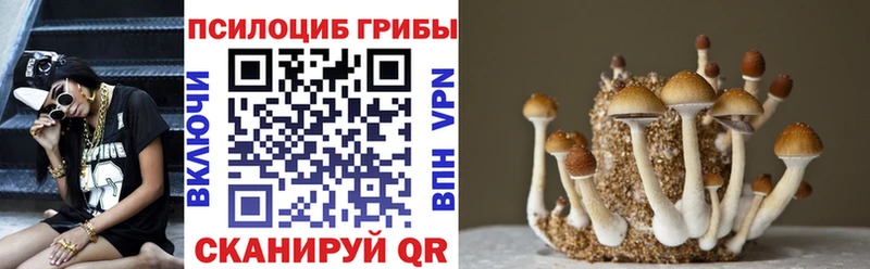 ОМГ ОМГ маркетплейс  Мамоново  Галлюциногенные грибы MAGIC MUSHROOMS  цены  